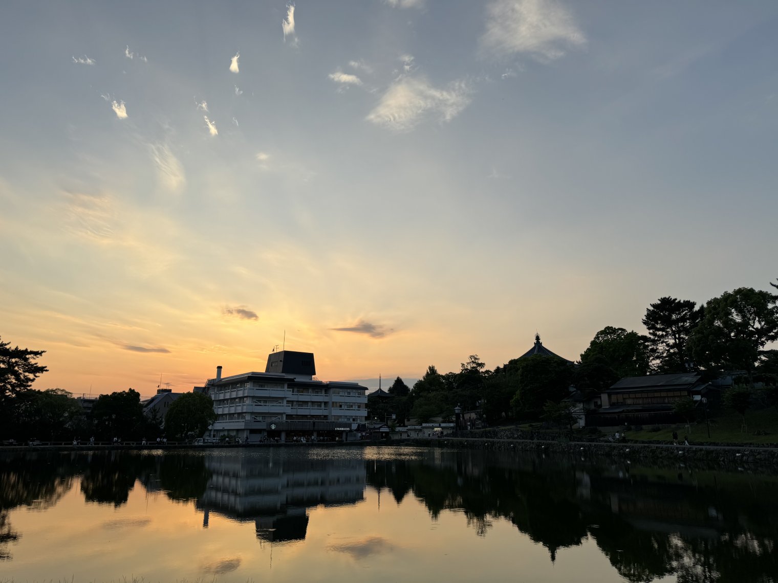 Reflection of a sunset and buildings in the distance on a lake in Nara