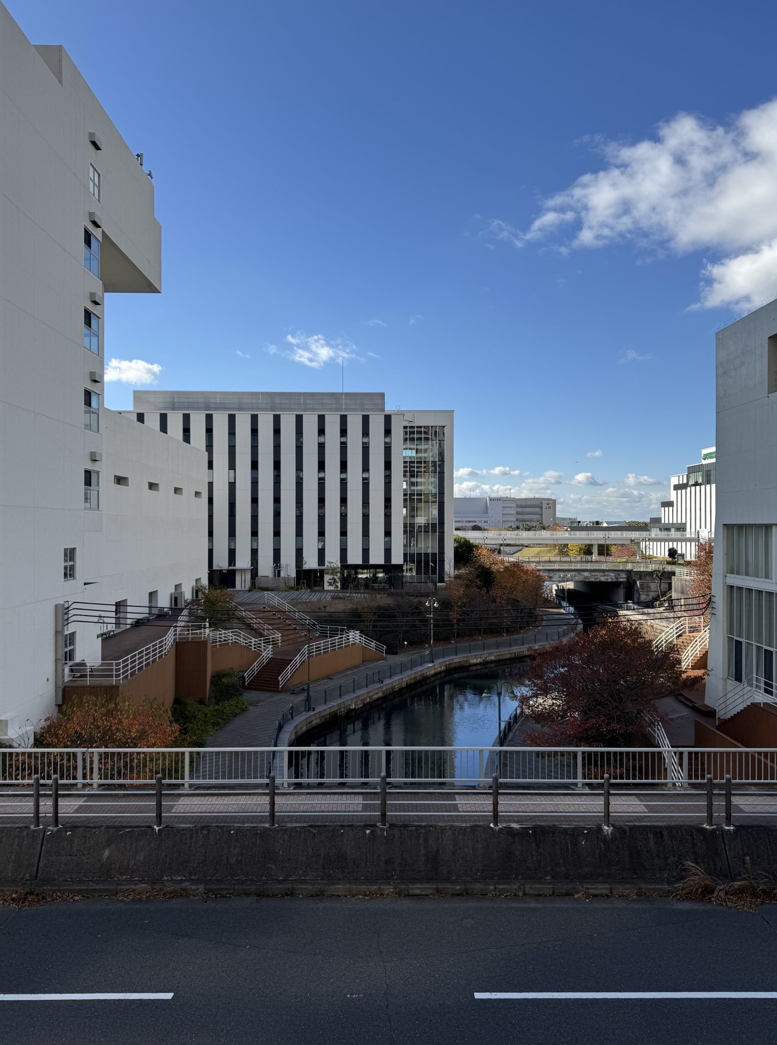 View from 2F sidewalk facing towards west side of Cosmosquare area, overlooking a small water channel. A cat exists in this photo.