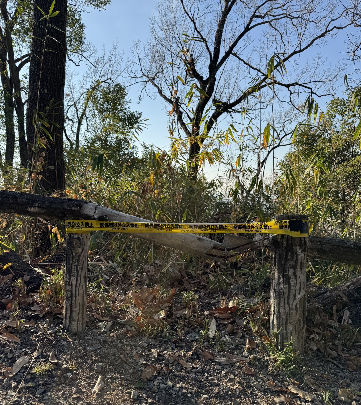 A broken section of a knee-height fence on the edge of a cliff, strapped with yellow tape stating “Staff only”