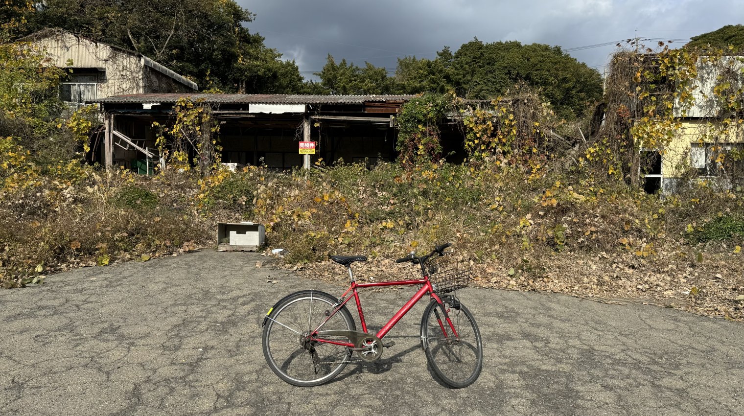 My rental bicycle in front of an abandoned house