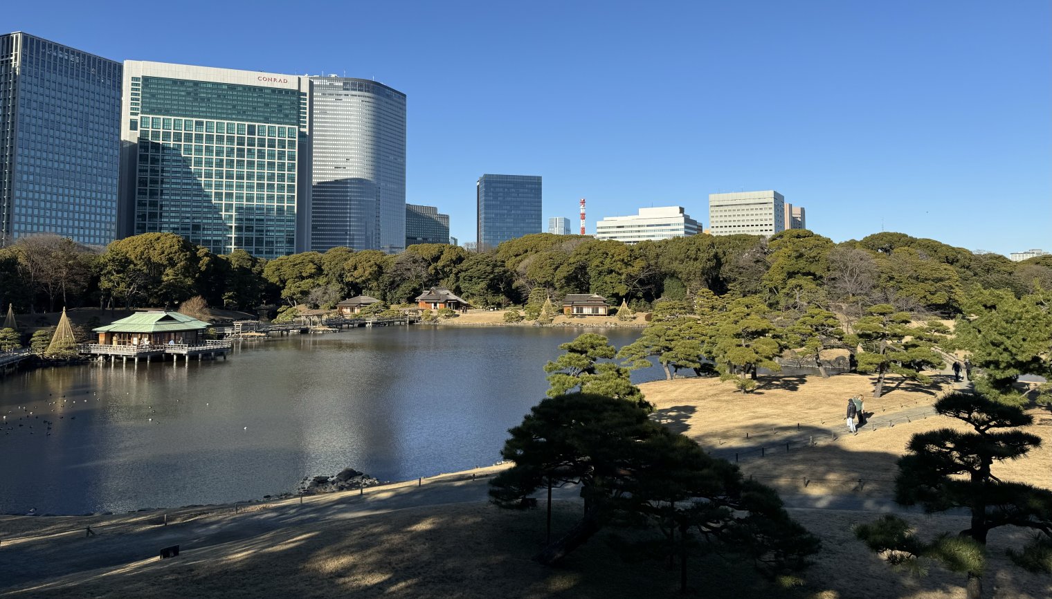 Wide shot of Hamarikyu Gardens in Tokyo